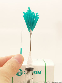 image of acupuncture needles in a hypodermic needle showing how small the acupuncture needles are
