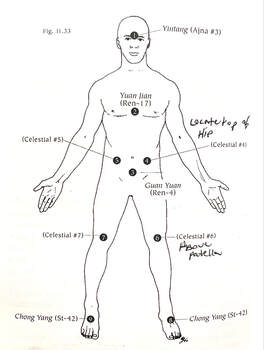 esoteric acupuncture point location map
